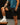 Coreflex Pro 6.5 Inch Shorts