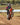 UNIT Electric Men's Riding Jersey