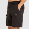 Demolition Flexlite Shorts black