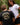 Tropical Tee White